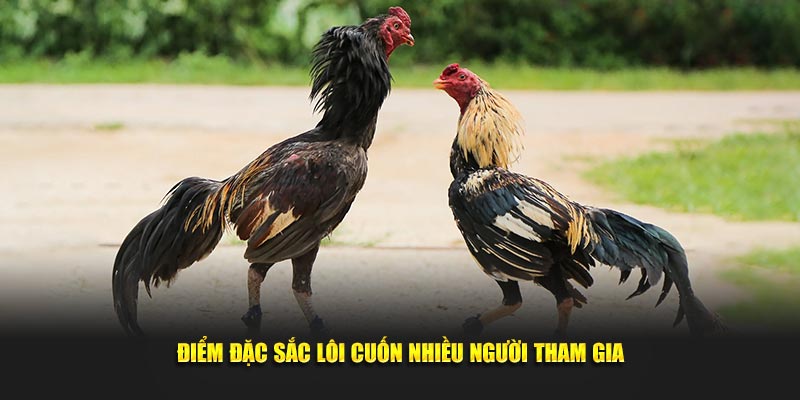 Điểm đặc sắc lôi cuốn lượng lớn người tham gia