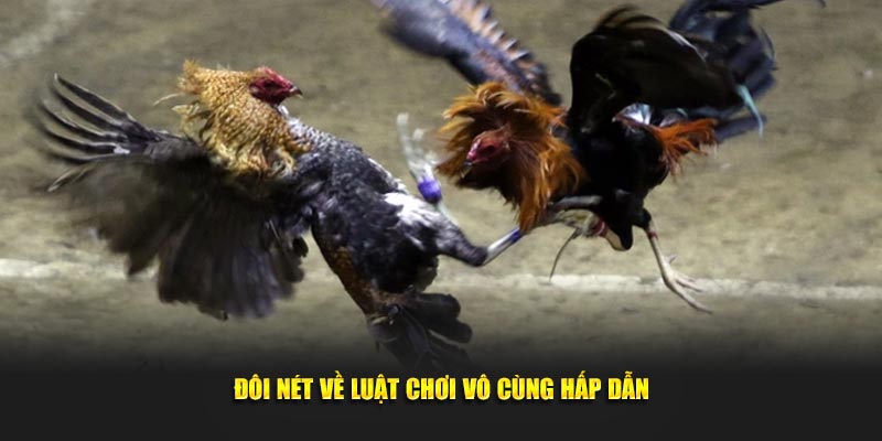 Đôi nét về luật chơi vô cùng hấp dẫn